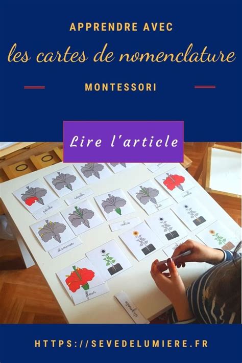 Les Cartes De Nomenclature Montessori ⋆ Tout Ce Quil Faut Savoir