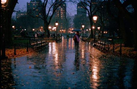 Rainy Autumn Evening In The City