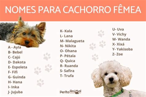 Nomes De Cachorros FÊmeas De A A Z Originais E Bonitos