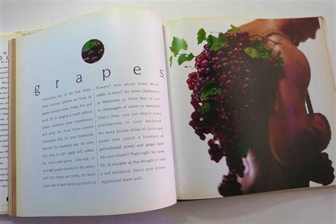 Intercourses An Aphrodisiac Cookbook By Martha Hopkins Etsy