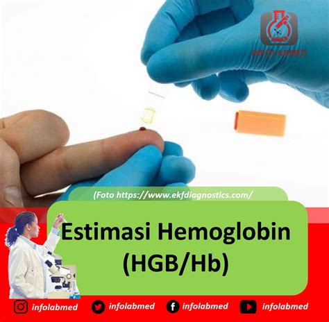 Estimasi Hemoglobin Hgb Hb