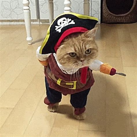 Other Catdog Pirate Costume Poshmark