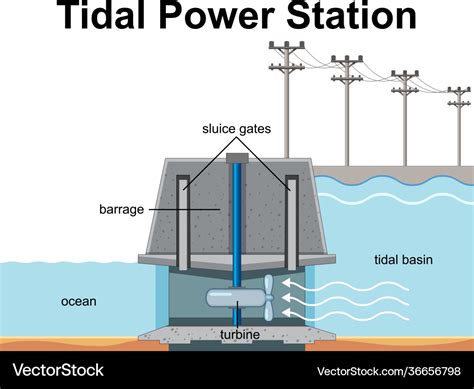 Diagram Showing Tidal Power Station Royalty Free Vector