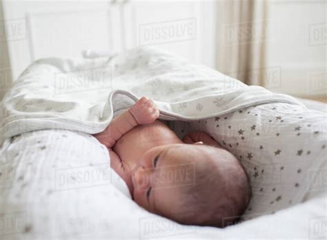 Newborn Baby Boy Laying In Bassinet Stock Photo Dissolve