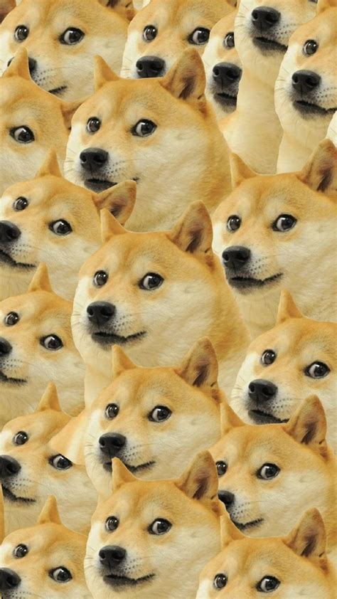 The Best 15 Dog Meme Doge Meme Wallpaper Greatimagemountain