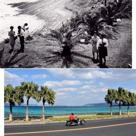 沖縄の本土復帰前、宮崎は南国イメージが人気となり、新婚旅行客でにぎわった（宮崎交通提供） 写真｜【西日本新聞me】