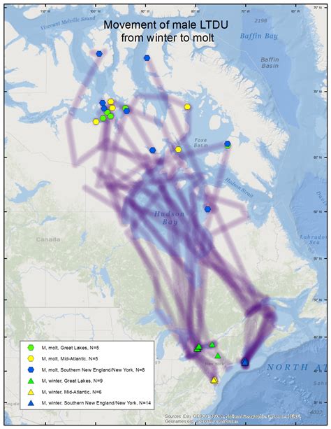Long Tailed Duck Migration Maps Sea Duck Joint Venture