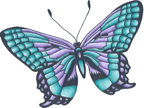 Blue Butterfly Drawings ClipArt Best Butterfly Drawing Butterfly