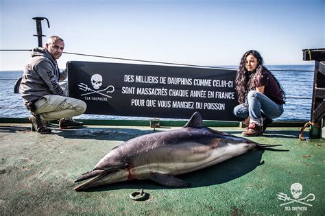 Db Lamyaonsamsimon Sea Shepherd Global