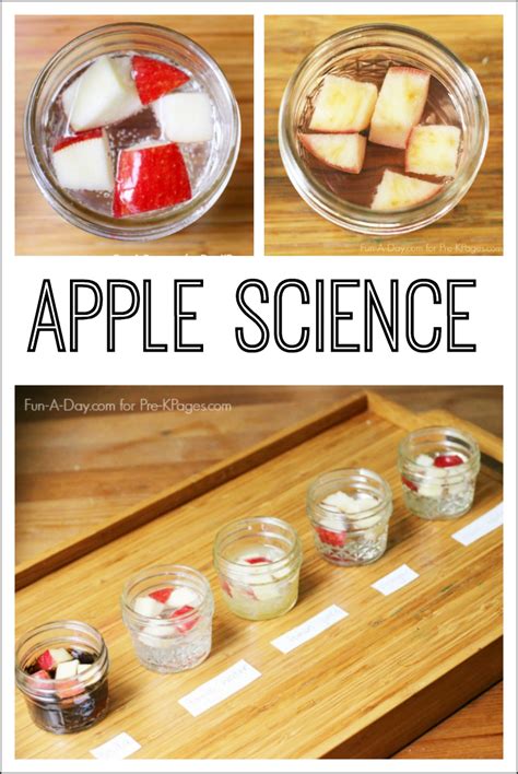 Vědecký Experiment S Jablky Pro Předškoláky This Unruly