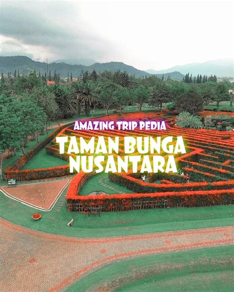 wisata taman bunga nusantara puncak rekomendasi tempat wisata indonesia