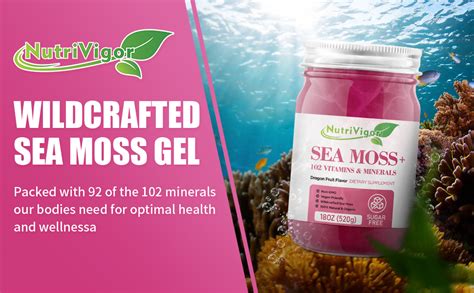 Amazon Com Nutrivigor Sea Moss Gel Oz Organic Sea Moss Advanced