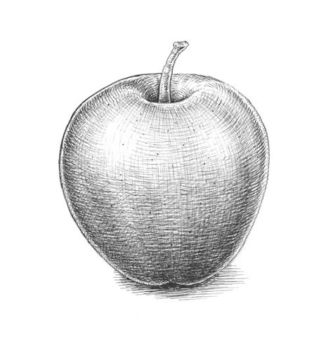 Para Dibujar Una Manzana Find Gallery