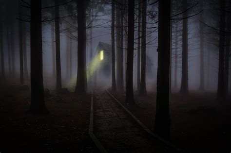 ‘haunted Forests In North America That You Can Visit In Time For