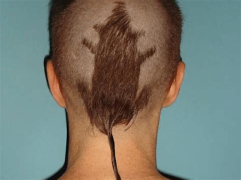 25 Hottest Rat Tail Hairstyles For 2021 Hairstylecamp