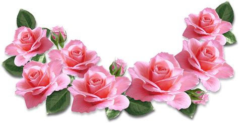 93 Bunga Mawar Pink Png For Free 4kpng