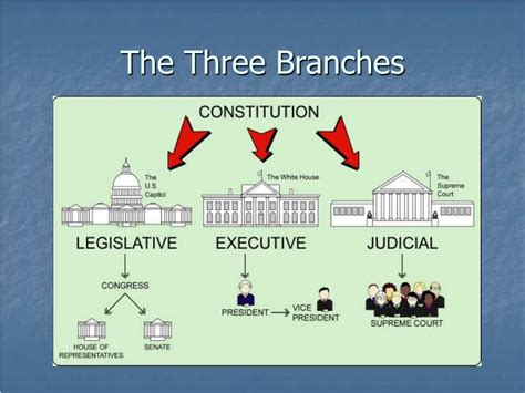 Ppt The Three Branches Of The American Government Powerpoint
