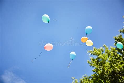 Balloons Fly Away On A Background Of Blue Sky Stock Photo Image Of