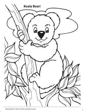 Coloring for adults and children. Koala Amazing Animals Coloring Page | Printable Coloring Pages