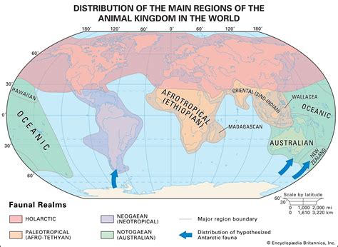 The Four Realms Of The Earth Geography