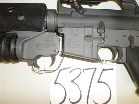 Colt M16 A1 With M203 David Spiwak