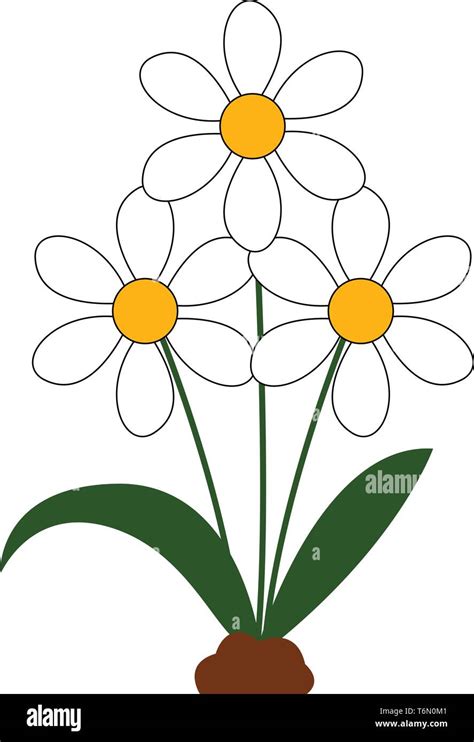 Detalles flor margarita para dibujar última camera edu vn