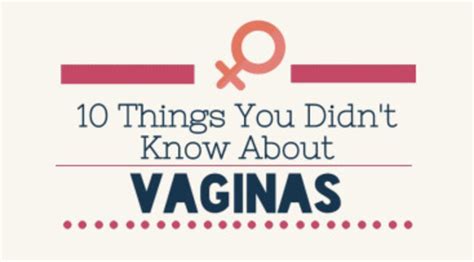 Amazing Facts About Vagina You Probably Didn T Know Gallery