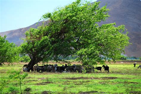 Cape verde is a country in west africa. Kap Verde - HandiTours