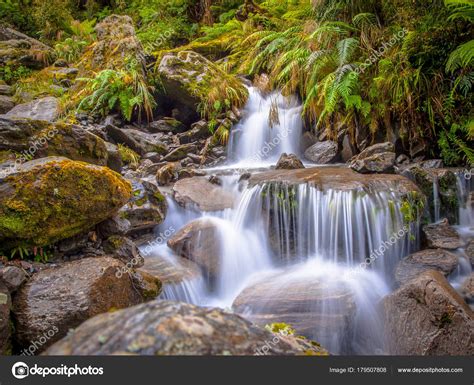 Small Rainforest Waterfall Stock Photo By ©creativenature 179507808