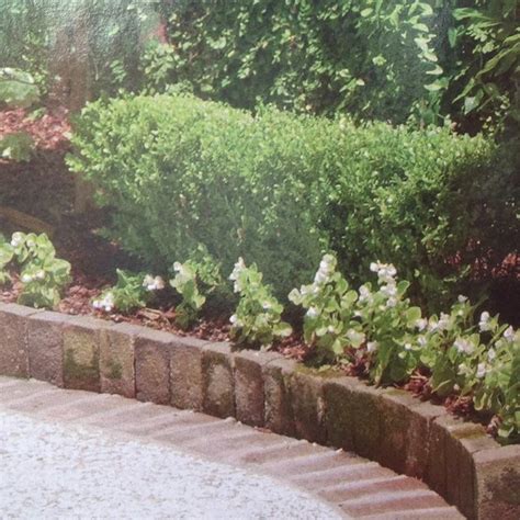 Lawn edging has so many different uses in the garden: vertical with lawn edge for easy mowing no concrete best ...