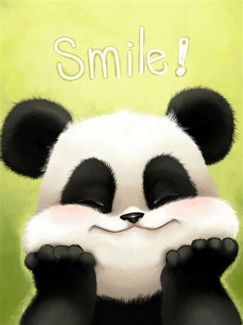 Cute Panda 768x1024 Download Hd Wallpaper Wallpapertip