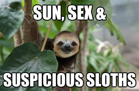 Sun Sex And Suspicious Sloths Suspicious Sloth Quickmeme