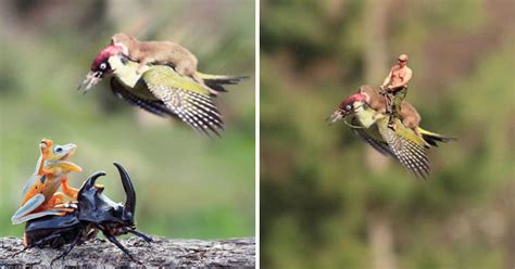 The Internet Is Having A Field Day With The Bird Riding