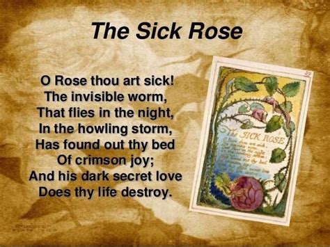 The Sick Rose By William Blake
