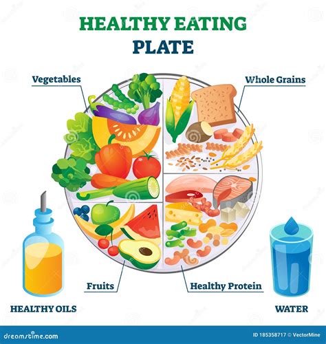 Healthy Plate Nutrition Proportions Cartoon Vector