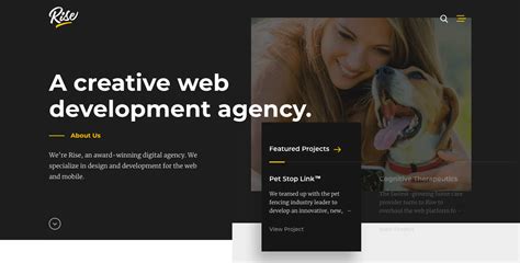 18 Best Web Design Agency Websites 2019