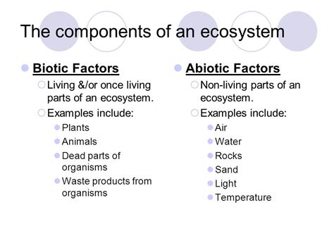 Ecosystem And Its Components