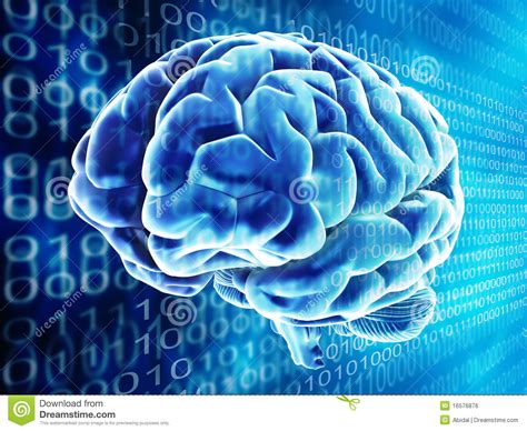 The cores are modeled on the brain, and feature 256 neurons (processors), 256 axons (memory) and 64,000 synapses (communications between of course, even those hybrid computers won't be a replacement for the human brain. Brain Background Royalty Free Stock Image - Image: 16576876