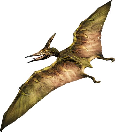 Dinosaur Pterodactyl Flyingdinosaur Flying Prehistoric Primal