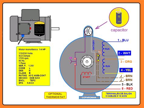 Coparoman Diagrama De Control De Un Motor Monofásico Con Inversión De Giro