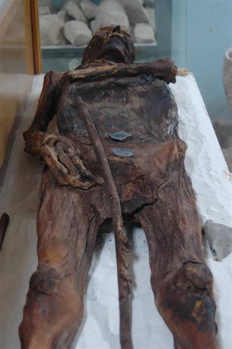 The Mummified Body Of A Person Found At Palmyra Believed