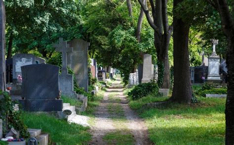 Image Of Vienna Central Cemetery