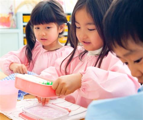 Japanese Kindergarten Application And Interview