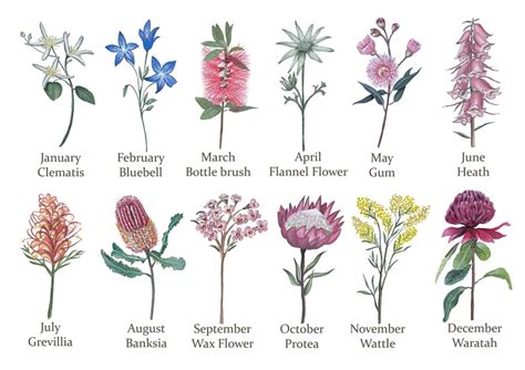 Personalised Birth Flower Print Custom Birth Month Flower Etsy Australia