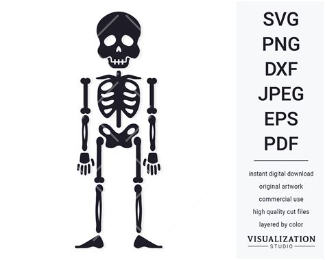 Cartoon Skeleton Vector Clipart Instant Digital Download Etsy Australia