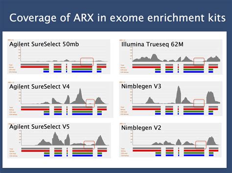 The Arx Problem How An Epilepsy Gene Escapes Exome Sequencing