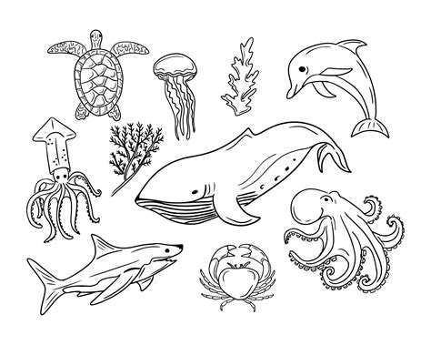 Set of outline doodle sea animals and creatures. Vector isolated black