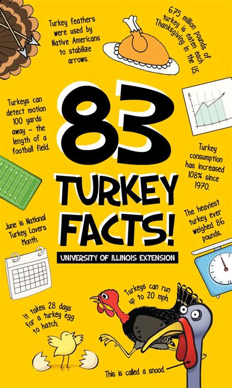 83 Fun Turkey Facts For Your Amusement This Thanksgiving