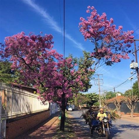 Ciudades cercanas ¿ quiero saber en que año se fundo el barrio de reconquista santa fe y porque lleva ese nombre '. En un barrio de Asunción... ⊱╮Mirtha Aguilera | Asuncion ...
