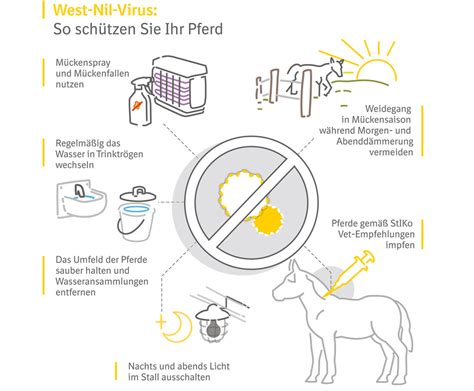 Jun 15, 2021 · im schnitt sind hierzulande etwa 1,2 prozent der hunde mit dem peitschenwurm trichuris vulpis befallen.in manchen europäischen hundezuchten sind es allerdings bis zu 30 prozent der hunde. West-Nil-Virus durch Mückenstich - Experten raten zur ...